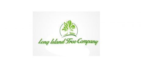 LI Tree Company